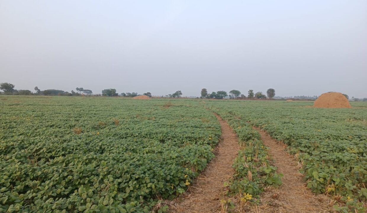 WhatsApp Image 2025-01-14 at 10.10.41 PM(1)