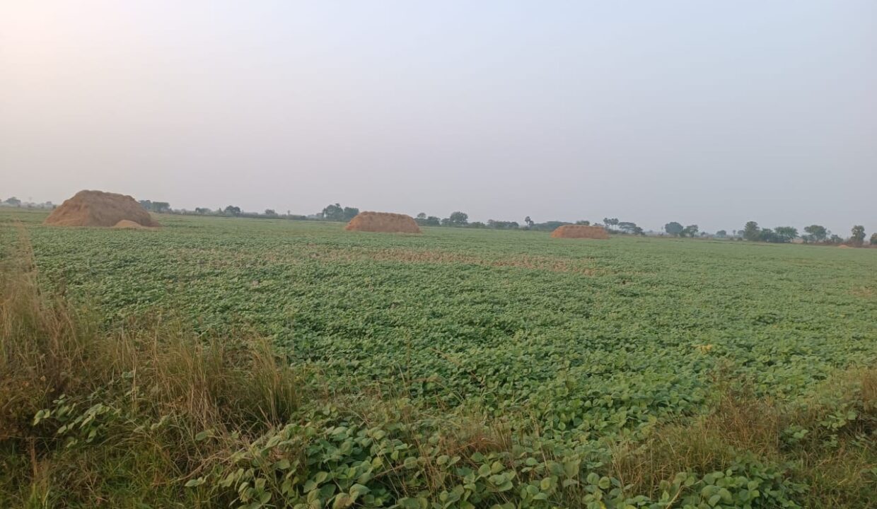 WhatsApp Image 2025-01-14 at 10.10.42 PM(1)